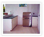 entertainment kitchen